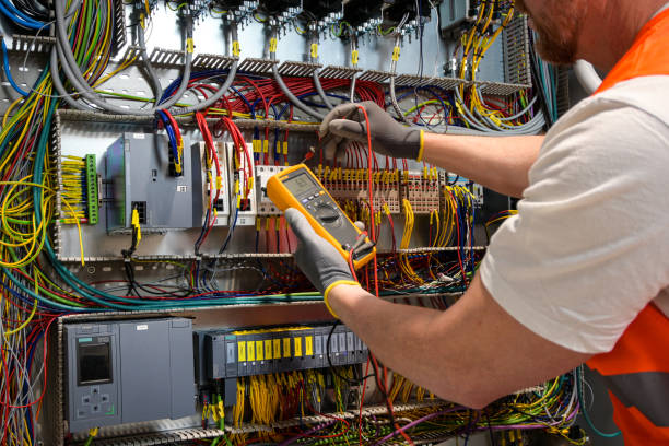 Best Electric Panel Repair  in Canyon Day, AZ